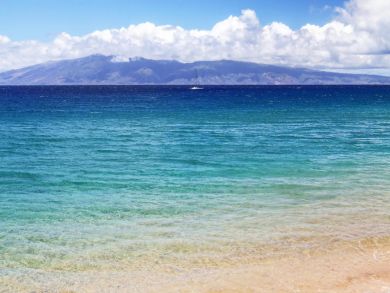 A One Bedroom Stunning Maui Accomodation